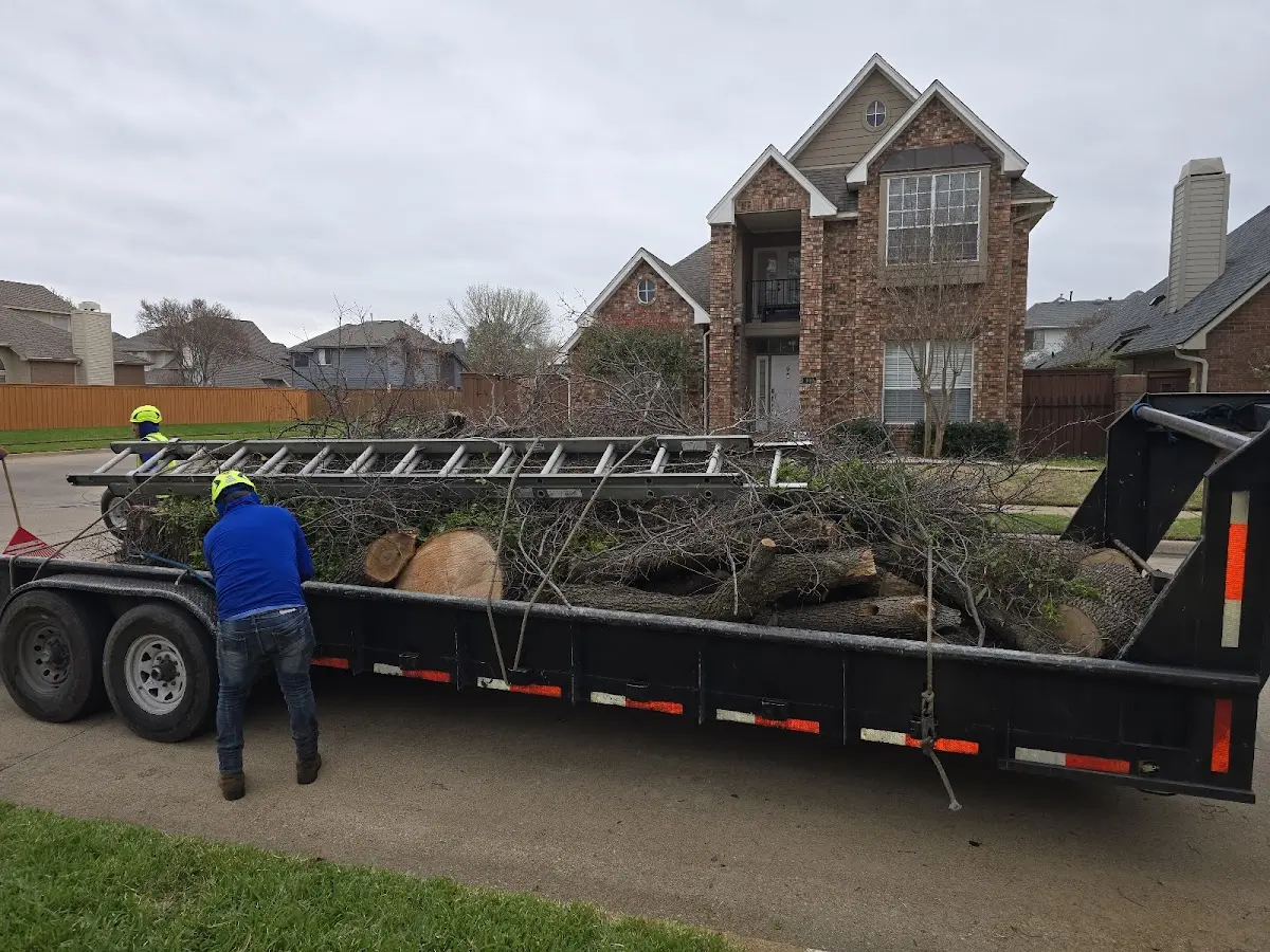Expert Tree Fertilization with proper safety equipment in Lake Pleasant
